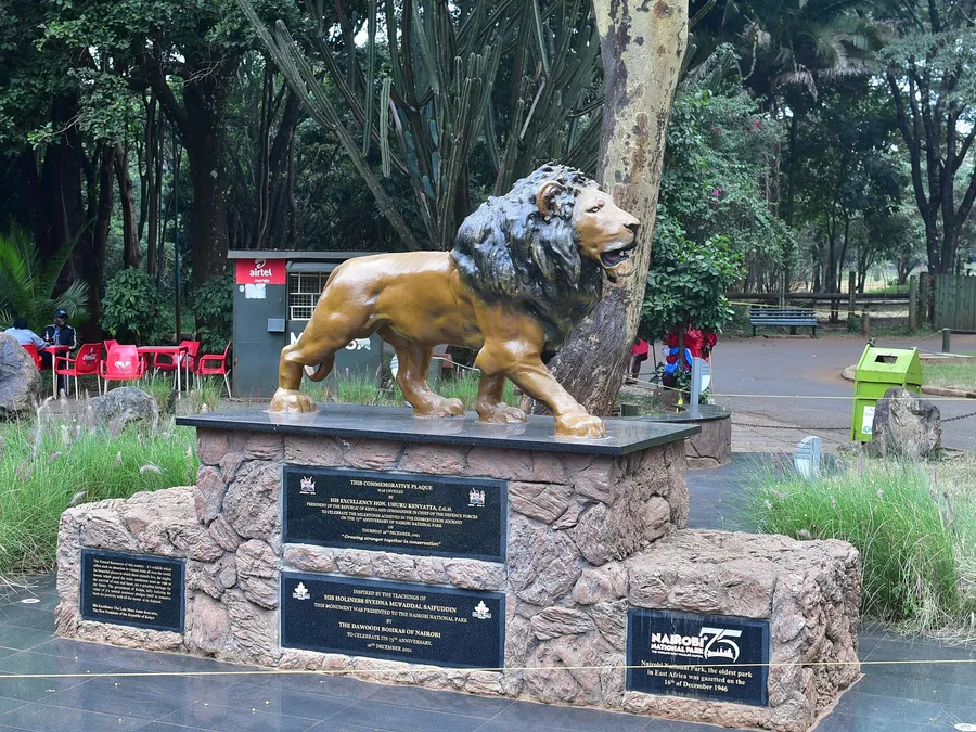 Colone Belts Tourism — up close